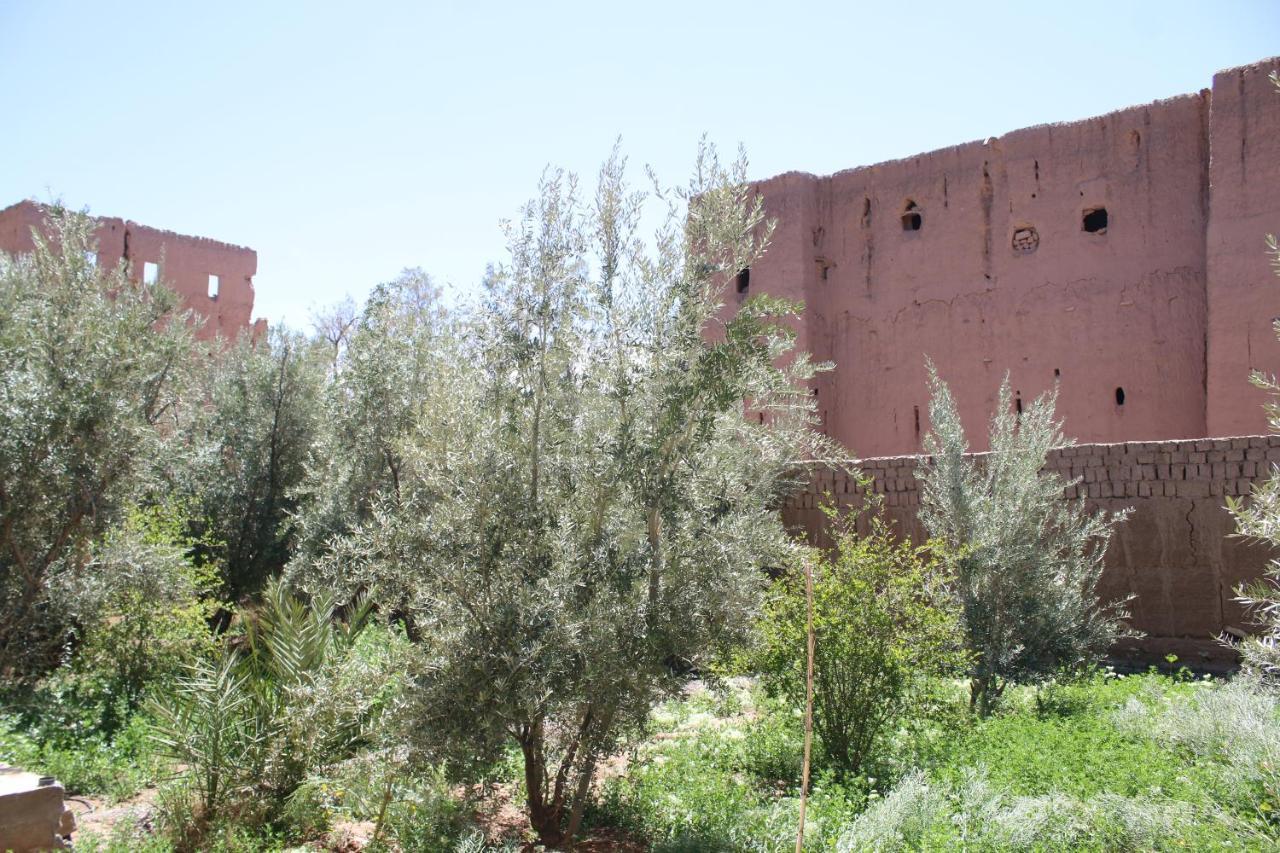 Gite Ait Lmaalam Chez Ahmed Skoura Exterior photo