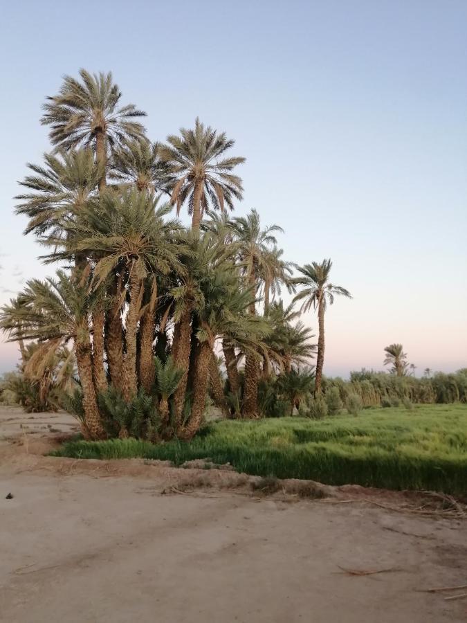 Gite Ait Lmaalam Chez Ahmed Skoura Exterior photo